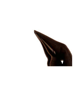 Billetero Arizona Buffalo