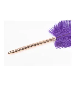 Bolígrafo Pluma Stationary