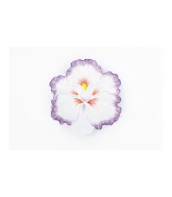 Plato Diametro Flor Pintado A Mano 24cm Love&home