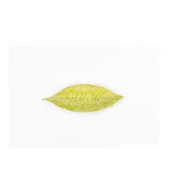 Plato Hoja 23x8x3cm Love&home
