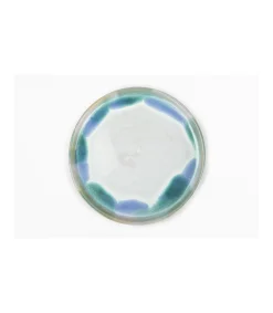 Plato 20x2.5cm Love&home