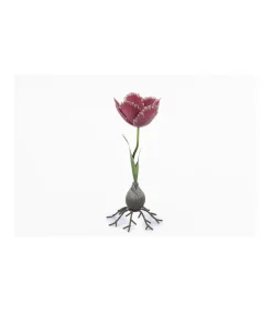 Portavelas Tulipan Alto 25cm Love&home