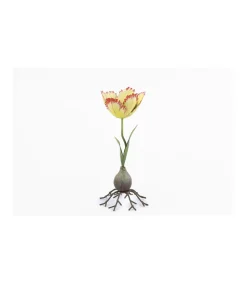 Portavelas Tulipan Alto 25cm Love&home