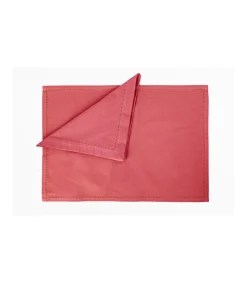 Set De 4 Salvamanteles Color Liso 48x33cm Love&home