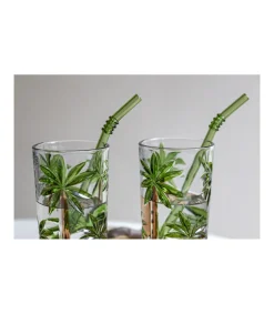 Set De Mojito 2 Vaso Pintado A Mano Palmeras Pajitas Love&home