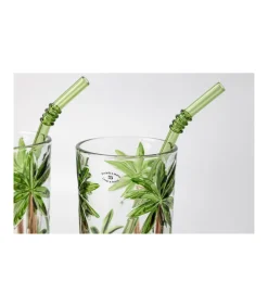 Set De Mojito 2 Vaso Pintado A Mano Palmeras Pajitas Love&home